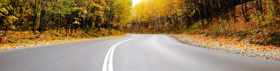  Route de forêt